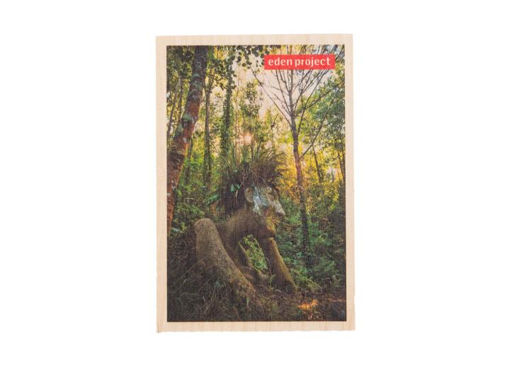 Wooden postcard eve