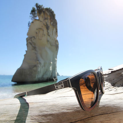 Sunglasses by a beach
