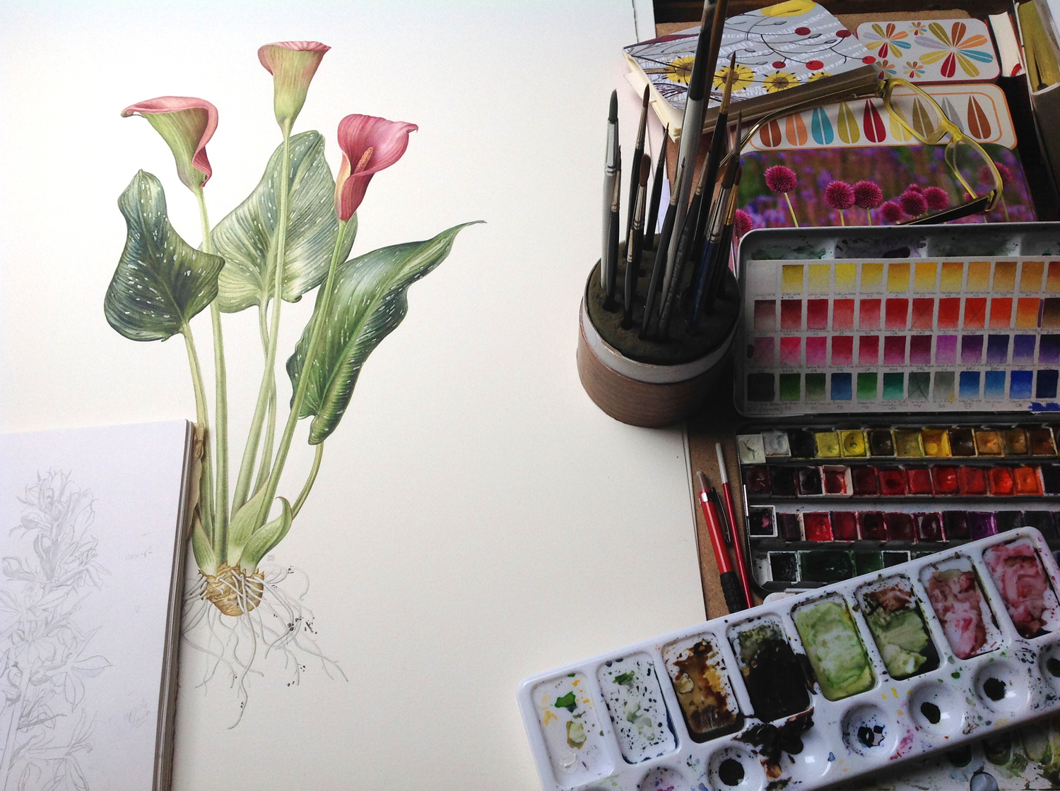 An Introduction to Botanical Illustration | Eden Project