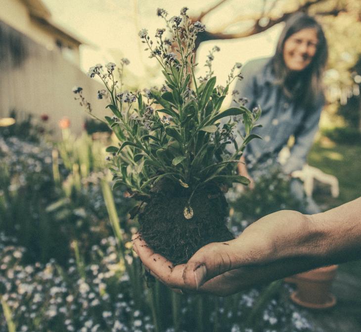 Gardening