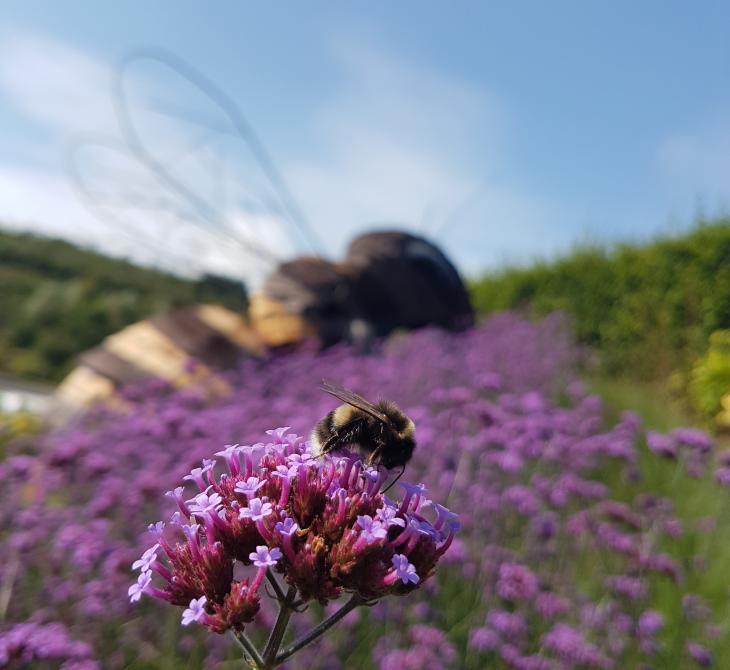 Bee on flower in front of giant bee sculpture