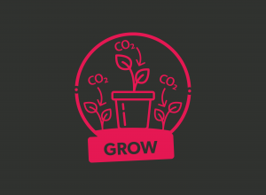 Grow icon