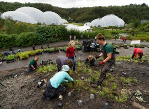 Apprentices and students planting Pollinator Pathmaker garden