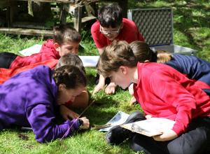 A group of children crouched on the floor examining the grass