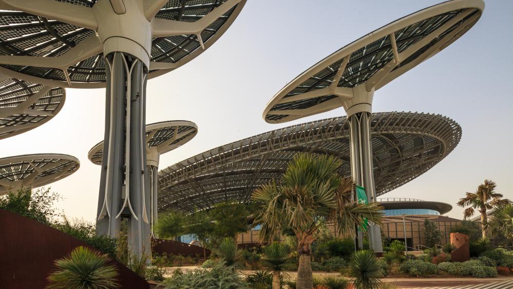 Expo 2024 Dubai Sustainability Pavilion Etta Olivia