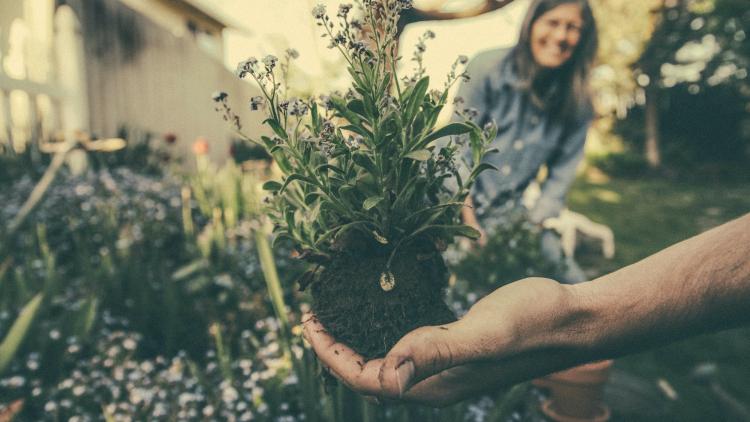 Gardening