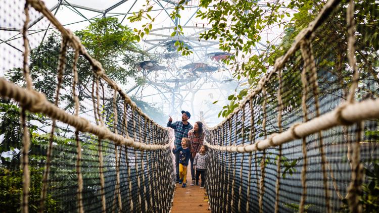 Family walking across wobbly bridge in Eden's Rainforest Biome