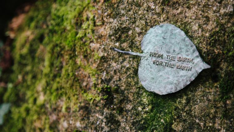 Bronze leaf on a moss covered granite rock