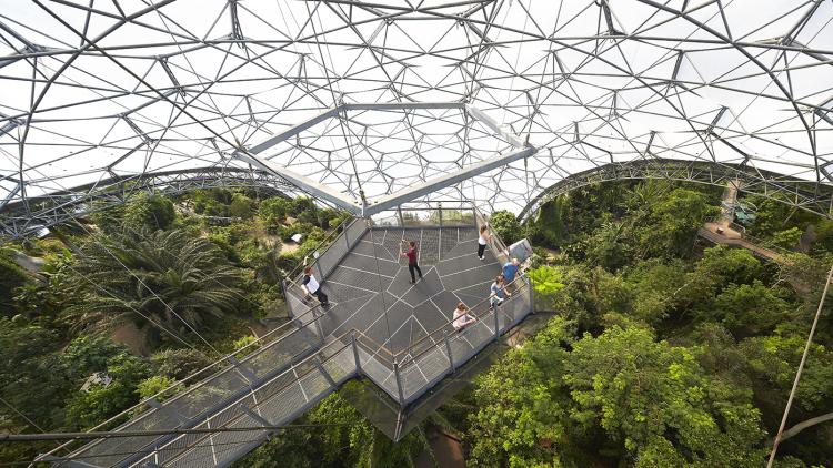 Rainforest Lookout platform at top of Rainforest Biome at Eden Project