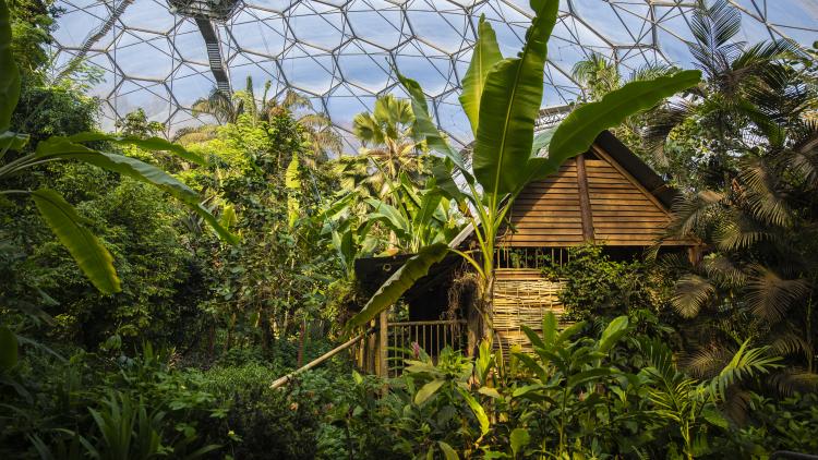 Malaysian House in Rainforest Biome at Eden Project