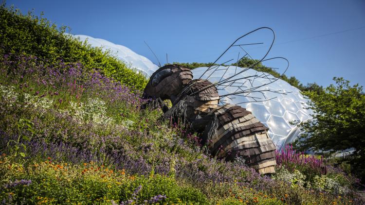 A giant bee sculpture installed on the side of a green bank with the Eden biome's in view in the distance 