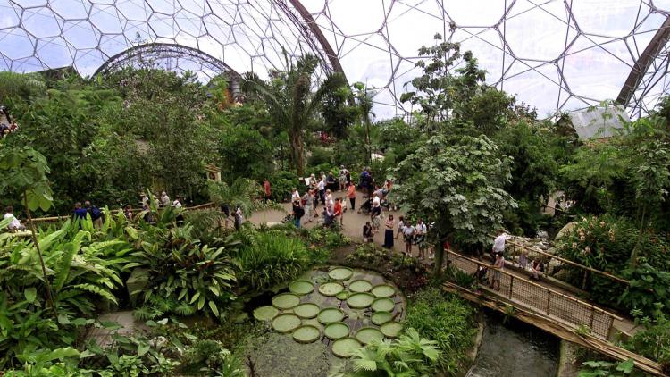 Aerial shot of visitors inside the Rainforest Biome at the Eden Project