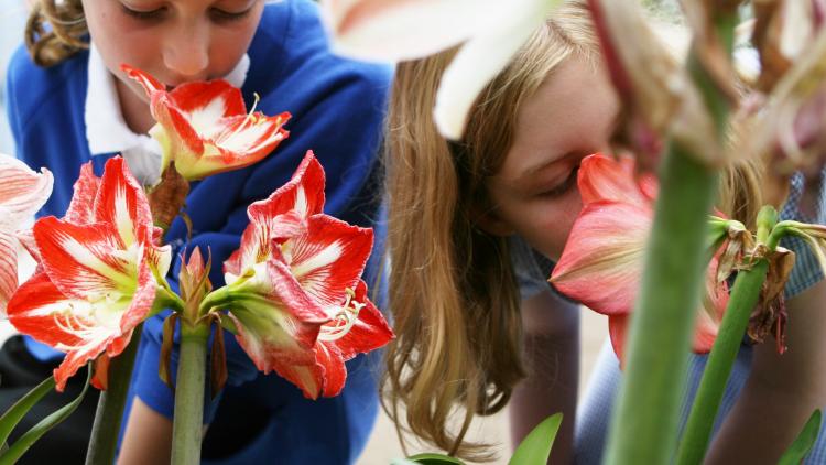 A view of two school pupils through the greenery they are both smelling the inner part of the flowers