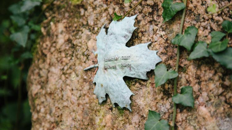 Bronze leaf on a granite rock with ivy