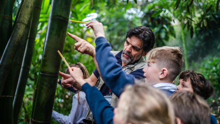 Eden teaching facilitator with pupils in the Rainforest Biome