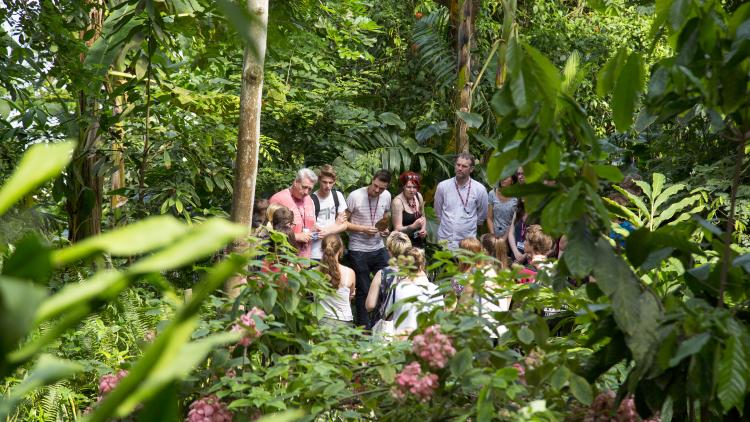 Groups of students in the Rainforest Biome