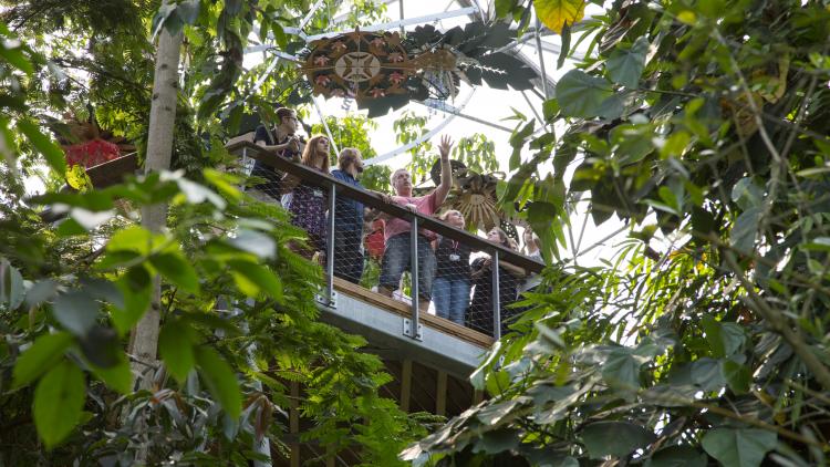 Students learning in the Rainforest Biome at the Eden Project