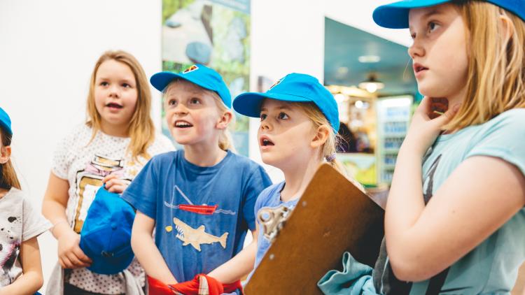 a group of school pupils stood in a line looking at something in front of them in awe