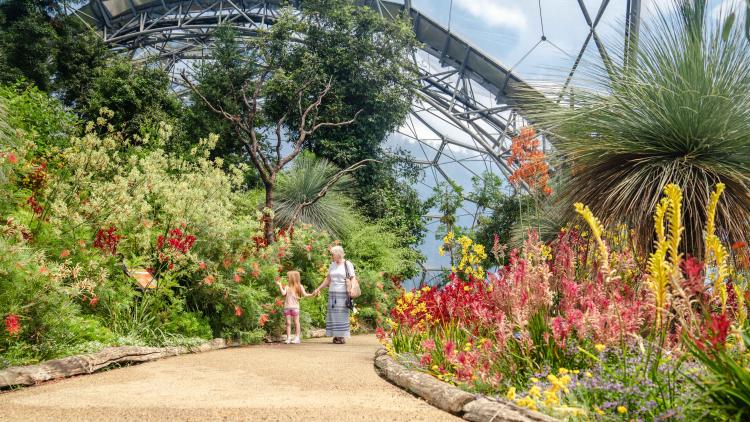 Woman and child walking along path through brightly coloured Western Australia garden in the Mediterranean Biome