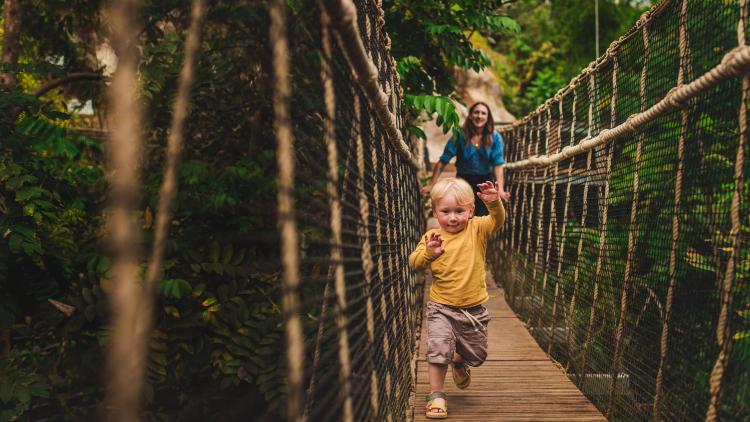 Mother on wobbly bridge following her young toddler