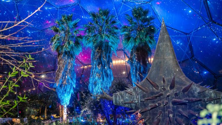 Med Biome lit up for Christmas