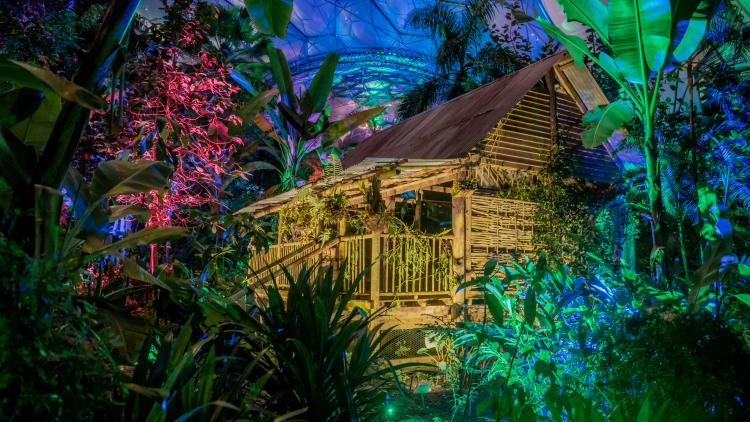 Malaysian House at Christmas