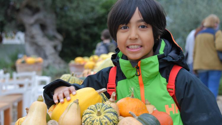 Boy standing with pumpkin display
