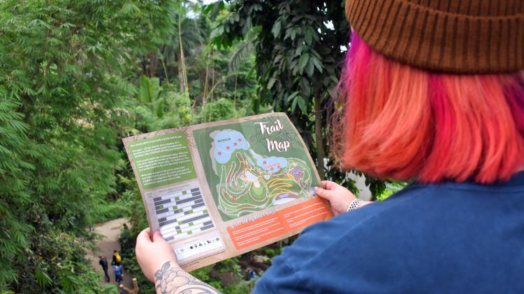 Person holding trail map in rainforest