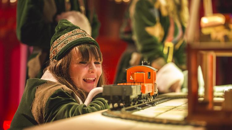 Elf with trainset