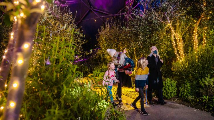 Family walking through Christmas lights in Med Biome