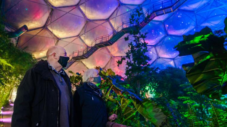 Couple looking at the Christmas lights in the Rainforest Biome