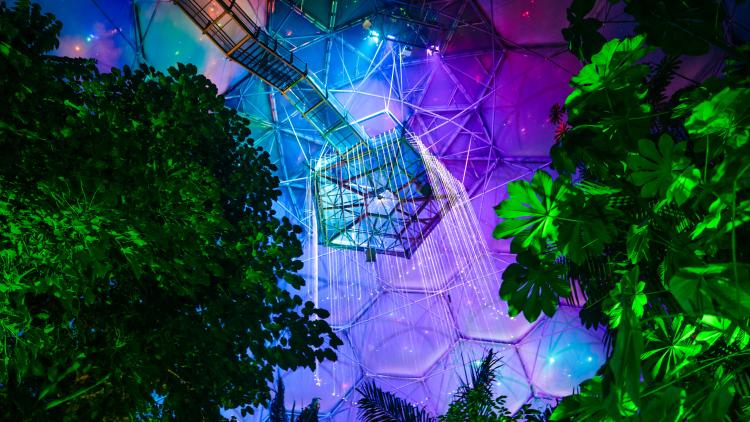 Fibre optic lights hanging from platform high up in the purple and green lit Rainforest Biome