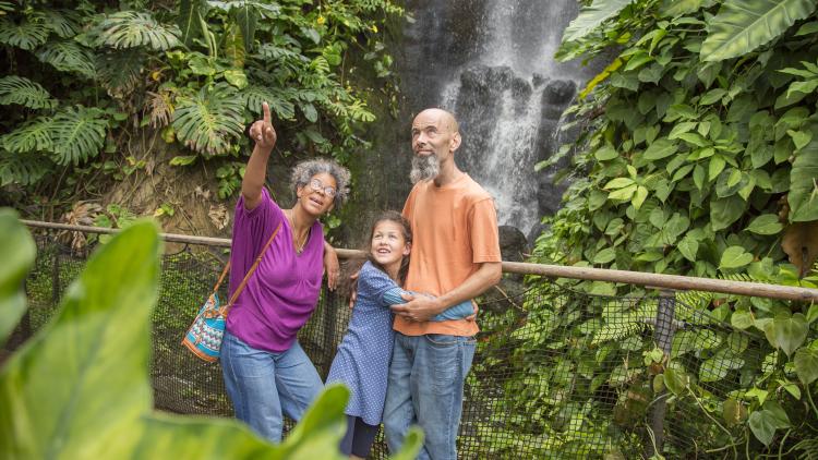 Family in Rainforest Biome standing by the waterfall