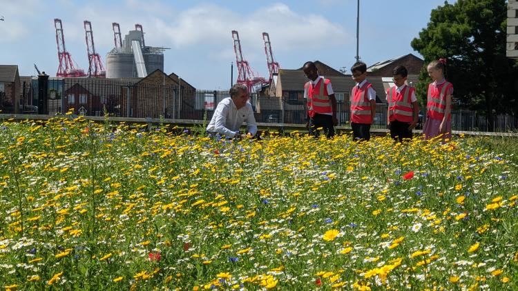 Children looking at wildflowers in town