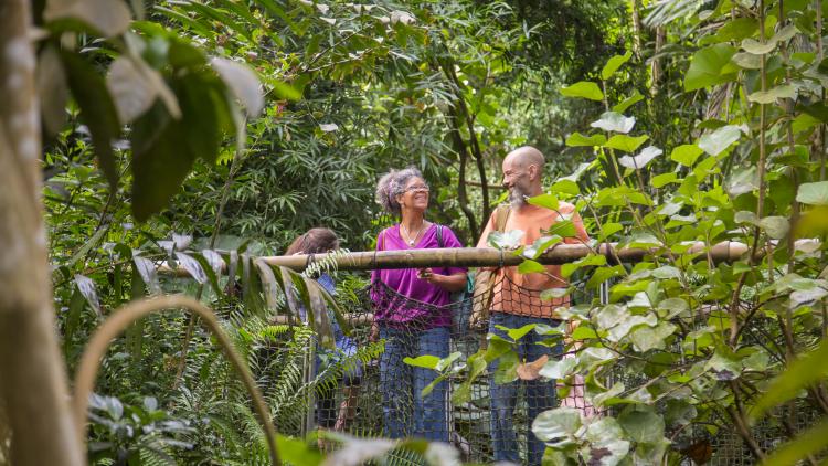 Family standing on the bridge in the Rainforest Biome