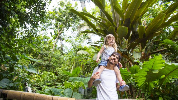 daughter on father shoulder Eden Project Rainforest
