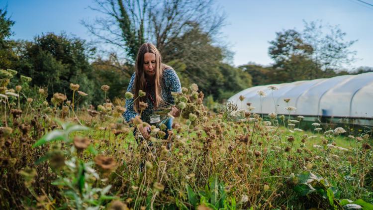 Lady pruning plants in garden