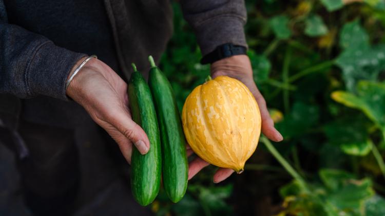 vegetables being held