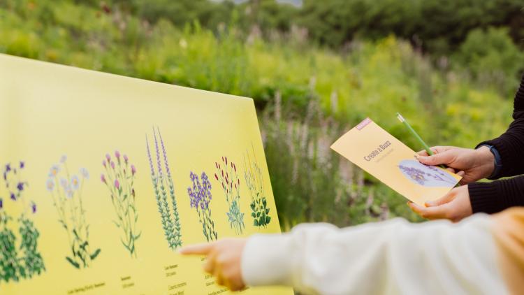 Pointing at a sign about flowers on the Pollinator Pathmaker