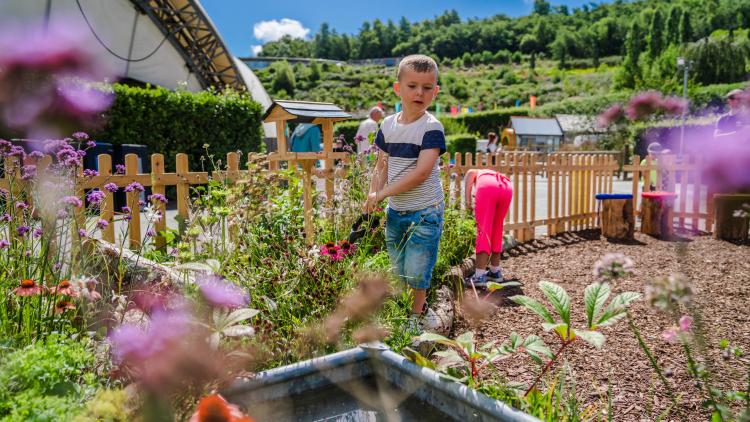 Boy searching for felt bees in a pollination game at the Eden Project