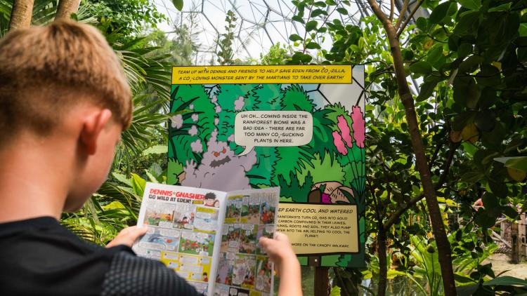 Boy holding Beano comic in the Eden Rainforest following trail