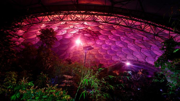 Rainforest Biome lit up pink at night