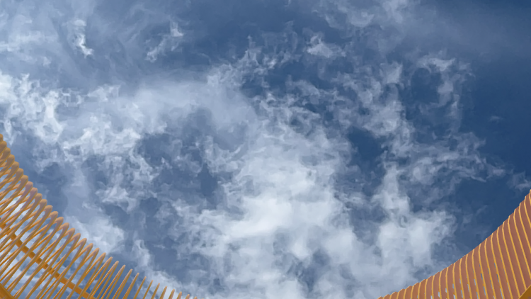 The view from within a circular augmented reality sculpture. The image is looking up towards the sky.
