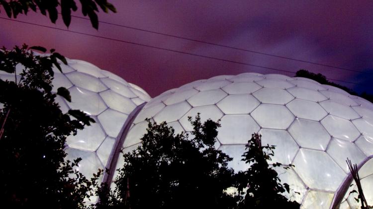 Biomes lit up white with a purply sky and silhouetted trees
