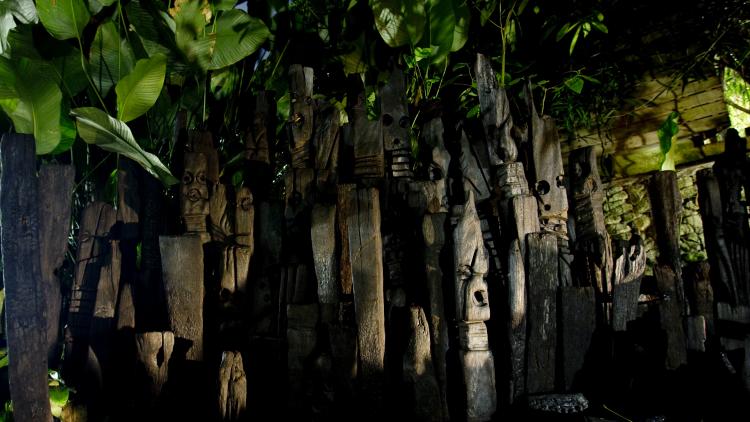 Totem sculptures in the Rainforest Biome at Eden at night