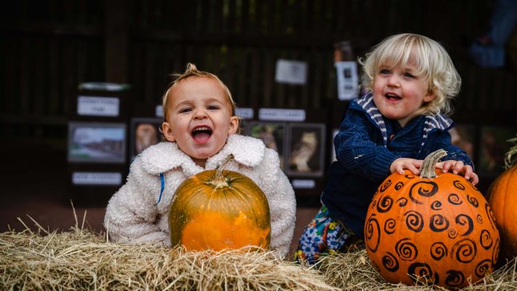 Toddlers with pumpkins