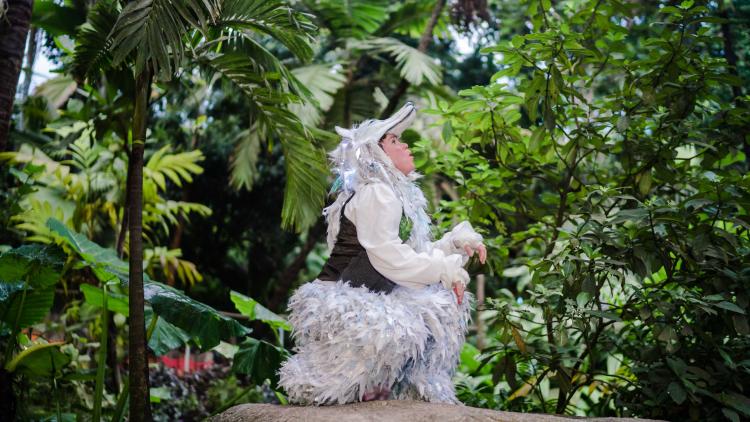Wolf character in rainforest Biome