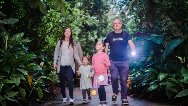 Family with torches in Rainforest Biome