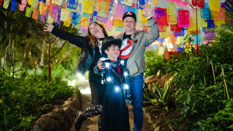 Family in Halloween costumes