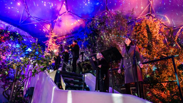 Musicians performing in Med Biome with Christmas lights